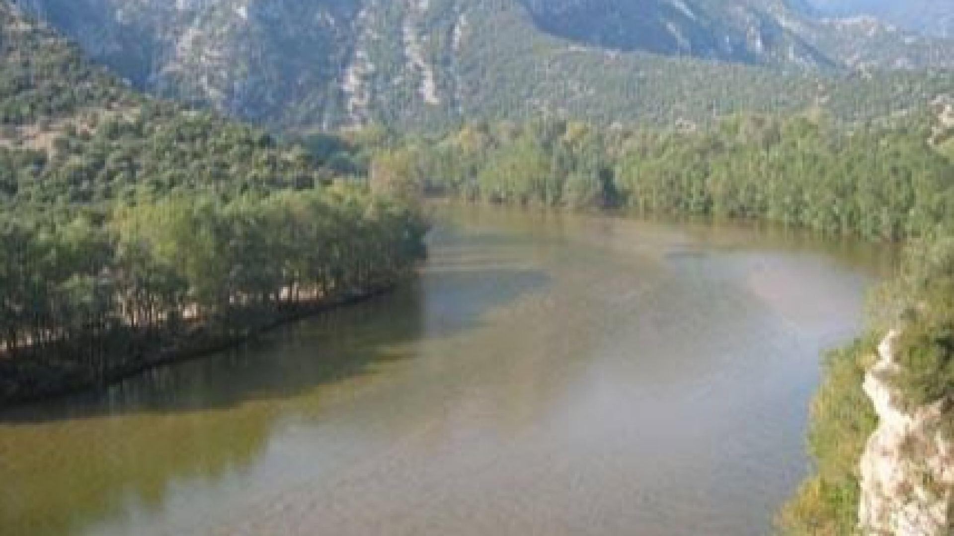 Река Струма отново тече кафява в Перник