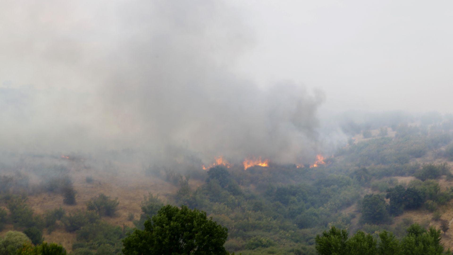 127 пожара гасиха през изминалото денонощие, спряха огъня на метри от село