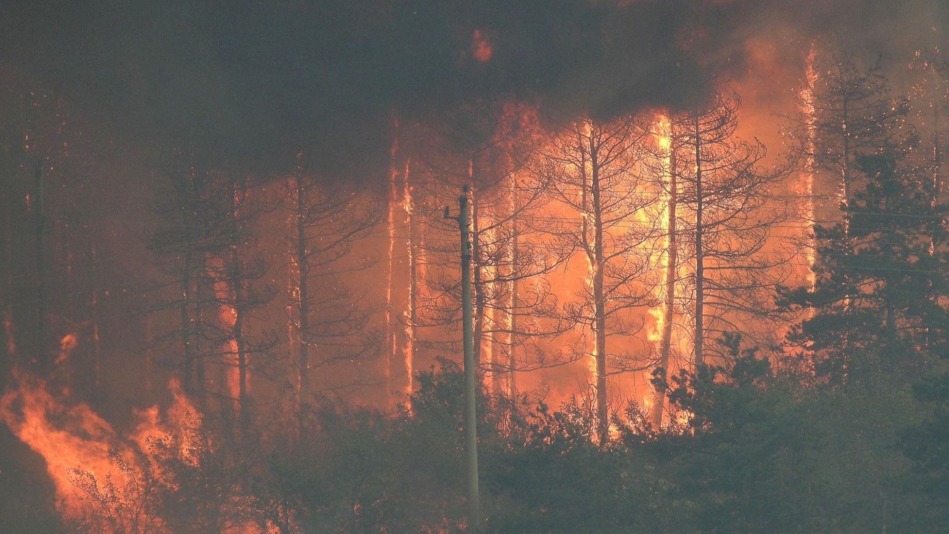 36 пожара се локализират и гасят в страната
