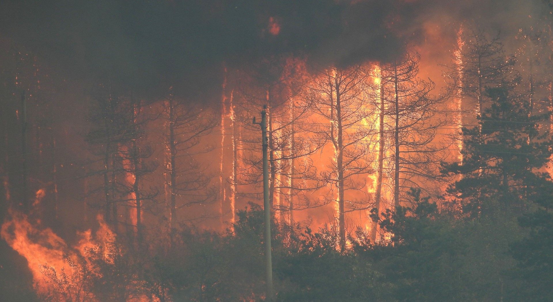 Пожарът Елхово - Лесово, 8 август