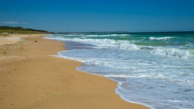 Законопроект внесен от депутати от Националния фронт за спасения на