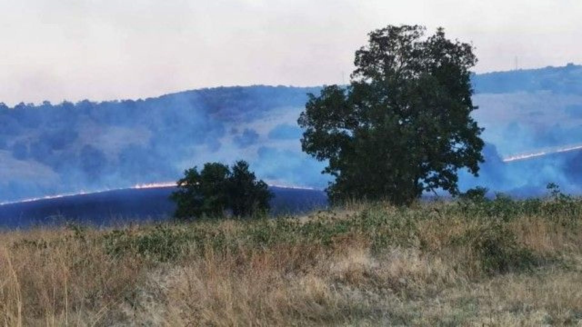 Нов пожар в Хасковско - пламна широколистна гора