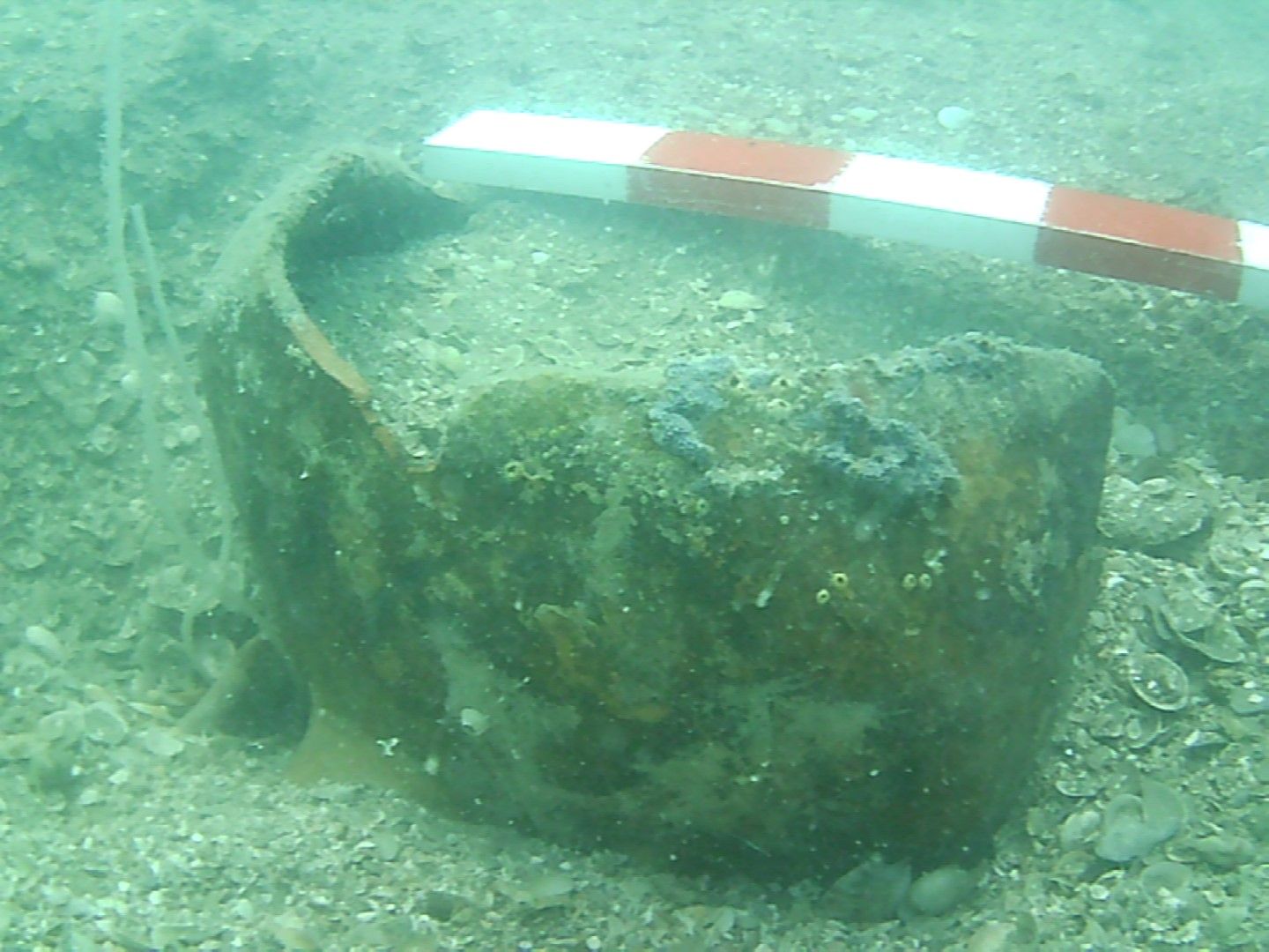 При подводните огледи водолазният екип успя да събере от морското дъно около 100 керамични фрагмента, половин каменен гръцки щок от котва, каменна бойна топка, няколко сравнително добре запазени амфори
