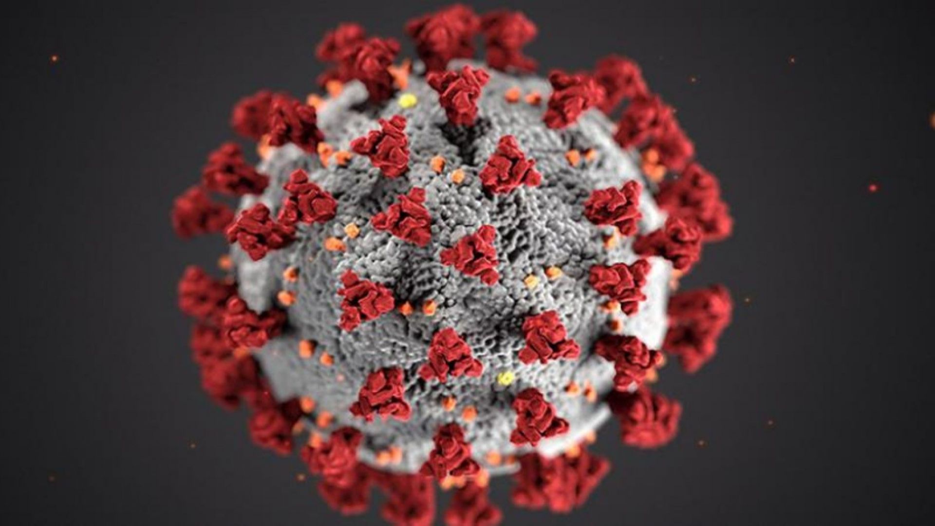 Виртуален вирус пресъздава моделите на разпространение на Ковид-19