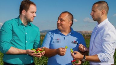 Поколения любов към земята Общо 65 български производители на плодове