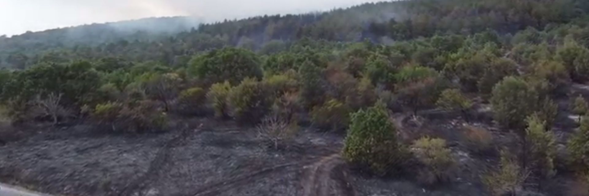 Пожарът в Сакар е овладян, но непотушен (видео)