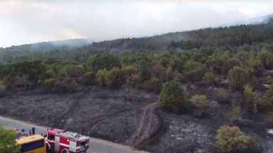 Огънят по периметъра на пожара между селата в Сакар планина