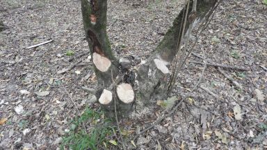 Бивакуването на чалга туристи в Странджа е по сериозен проблем от