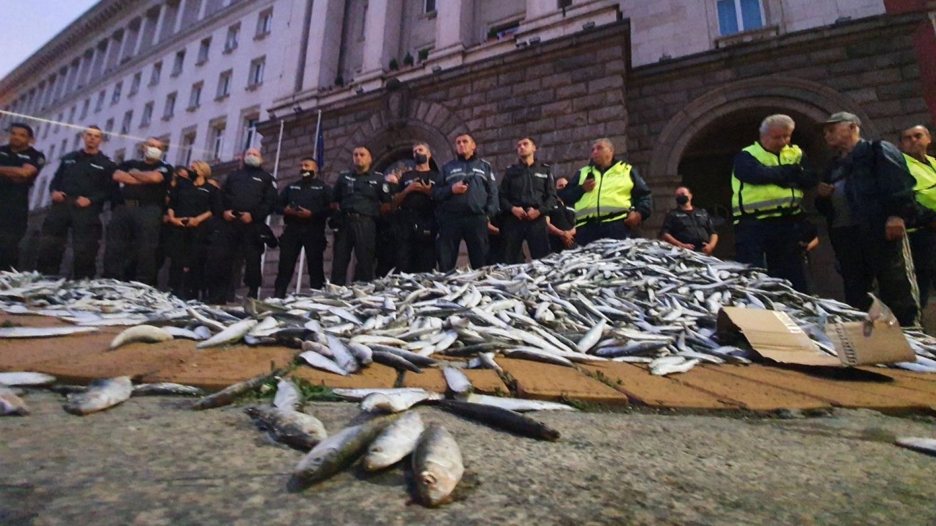 48-ми ден - протестиращи изсипаха риба пред МС, състоя се и контрапротест