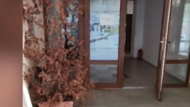 Туристи се оплакаха от лоши условия ниска хигиена и дървеници