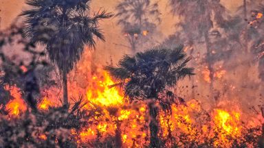 Горските пожари в Амазония вредят сериозно на здравето 