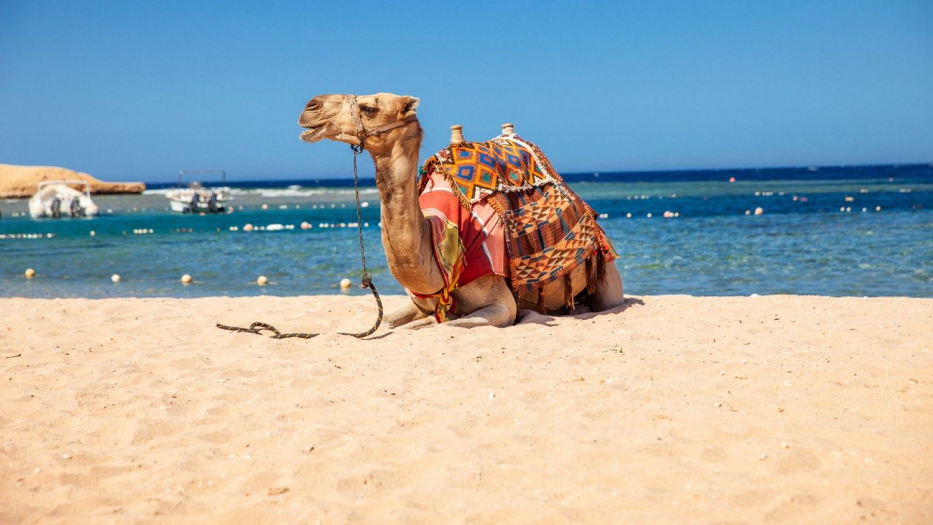  Плаж в Египет 