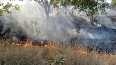Голям пожар в Русенско достигна до къщите в село Щръклево