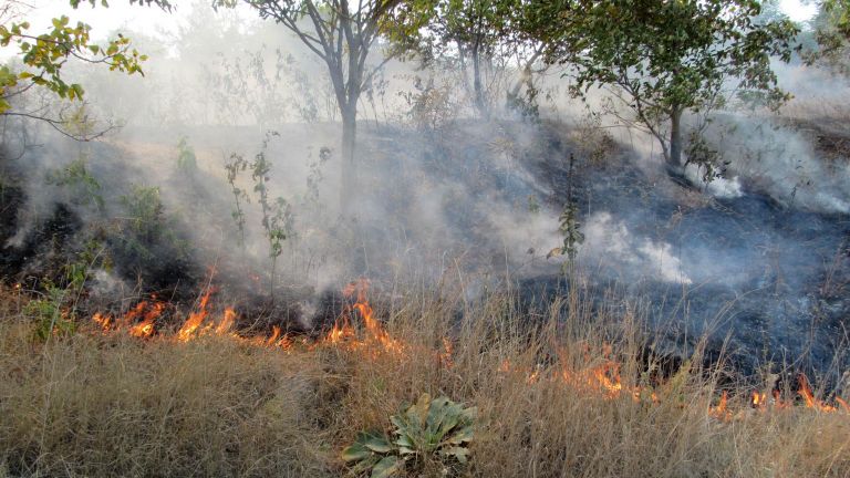 Голям пожар в Русенско достигна до къщите в село Щръклево.