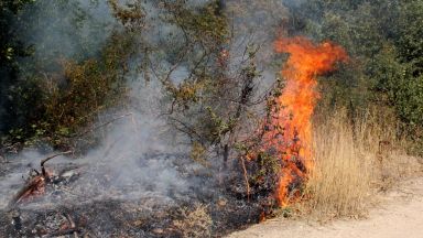 Вече второ денонощие продължава борбата за овладяване на пожара в