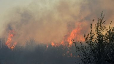 Пожар пламна в гориста местност край Девин горят между