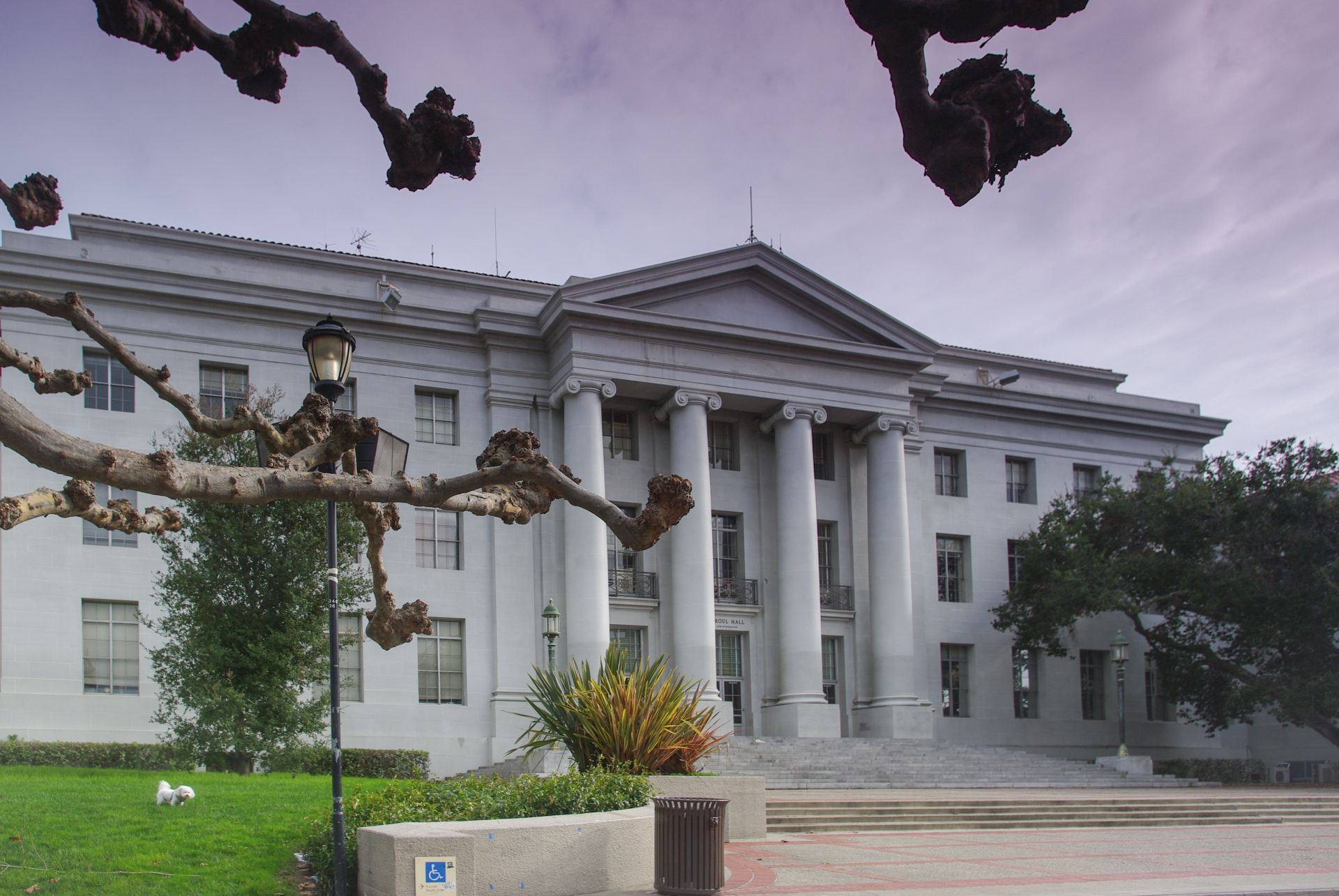 Калифорнийският университет в Бъркли заема седмо място