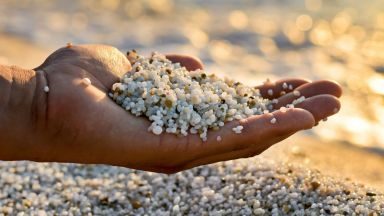 Французин беше глобен с 1000 евро на италианския остров Сардиния