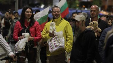 Анализатори: Протестът бетонира Борисов въпреки грешките му
