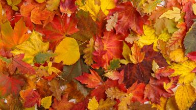 С края на лятото идва и краят на диетите Времето