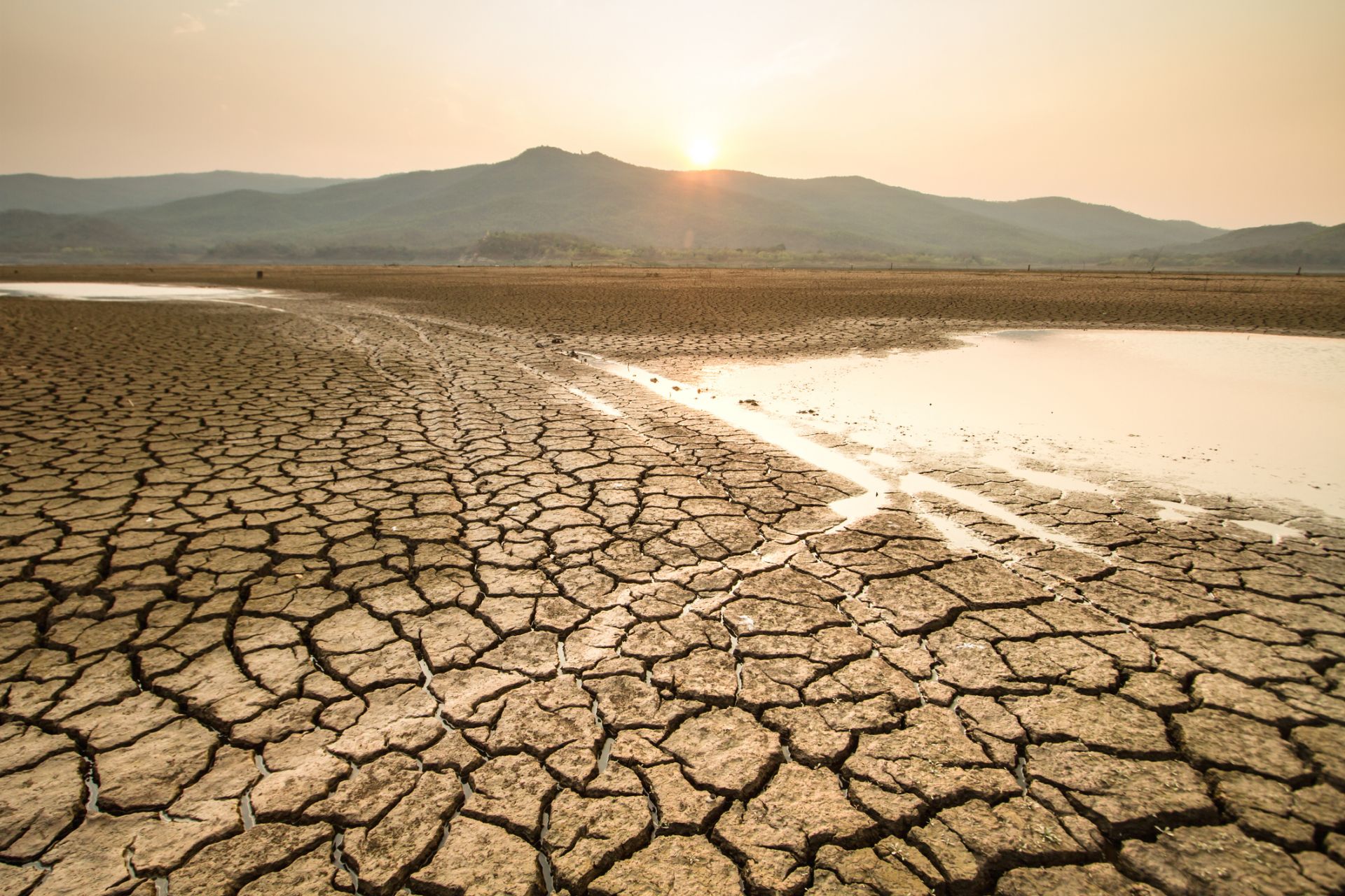 Сушата се очертава като един от най-големите проблеми на идните десетилетия