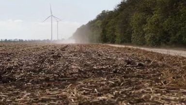 Масово съхнене на полезащитните горски пояси в Добруджа констатираха лесовъди