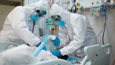 Световната здравна организация СЗО съобщи че през последните 24 часа