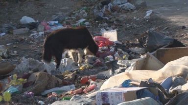 За незаконно сметище в бургаския квартал Победа алармират местните хора