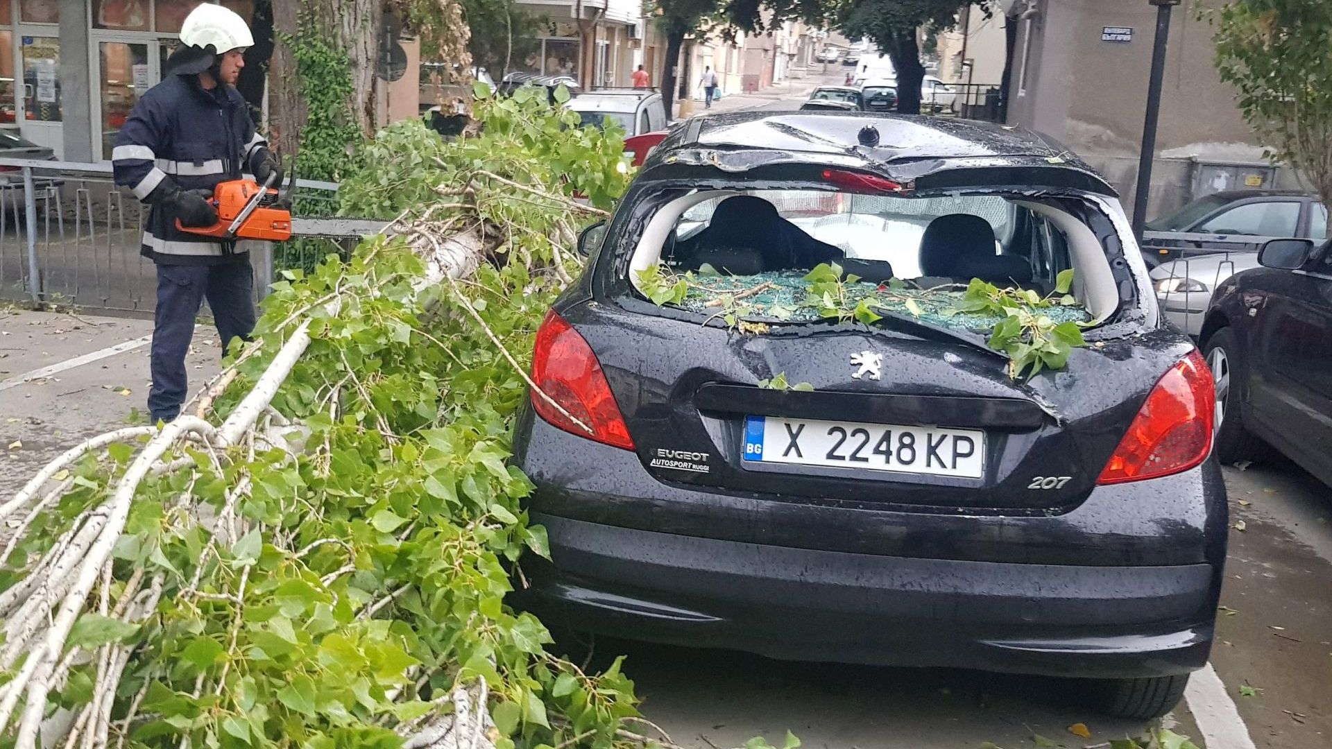 Топола се счупи и премаза паркиран автомобил в Хасково (снимки)