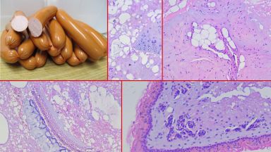 Едва от 1 до 15 чисто месо има в различните