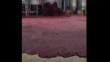 Хиляди литри червено вино се изляха в завод Витивинос в