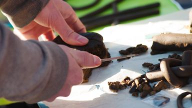 Испанските власти съобщиха днес че са конфискували 35 тона хашиш