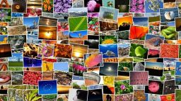 33 участници се борят за приз във фотоконкурс в Русе 