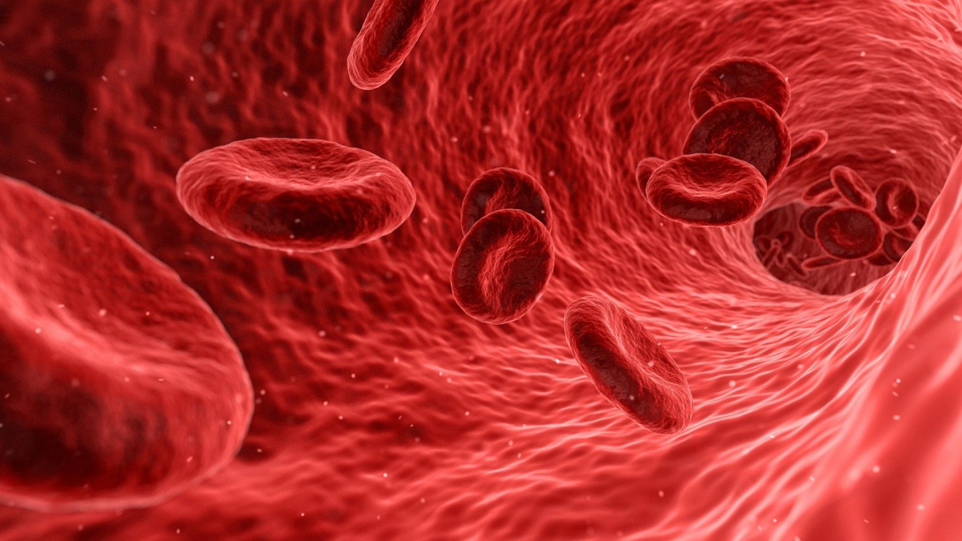 За първи път: Извършено е преливане на отгледани в лаборатория червени кръвни клетки 