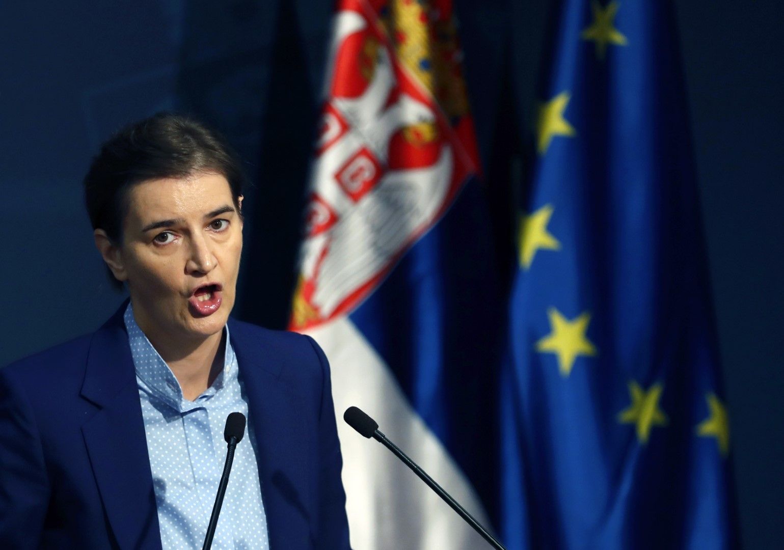 Половината от новото правителство на Ана Бърнабич трябва да е съставено от жени