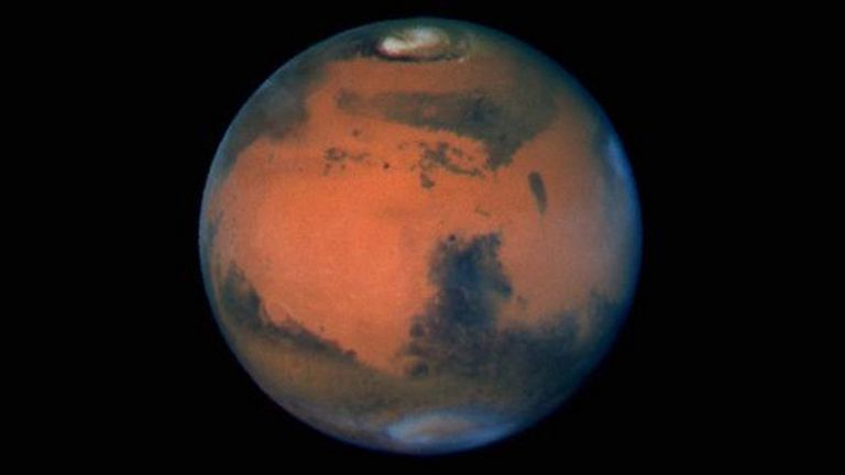 Черната плесен от Земята може да оцелее на Марс, твърдят учени