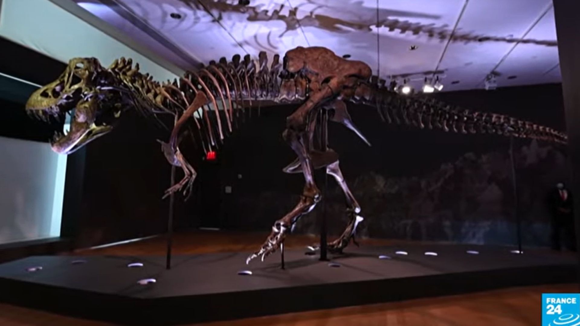 Скелет на тиранозавър беше продаден на търг за рекордните 31,8 млн. долара