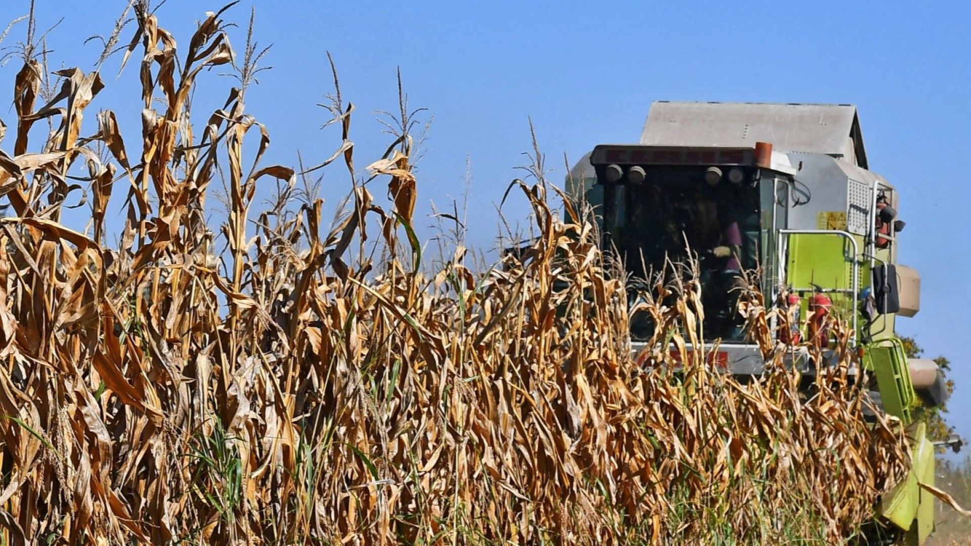 На ръба на продоволствена криза: Войната изкарва на преден план угарите