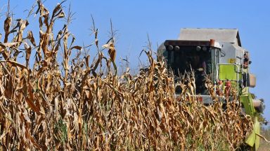 Зърнопроизводителите: Опитват да сринат сектора, напрежението ще залее площадите