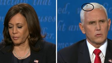 Муха кацна на главата на вицепрезидента републиканец на САЩ Майк