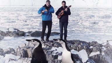 Танцът на пингвините – пътуване към себе си