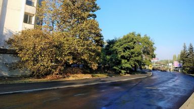 До 19 00 ч днес ще се полага износващият пласт асфалт