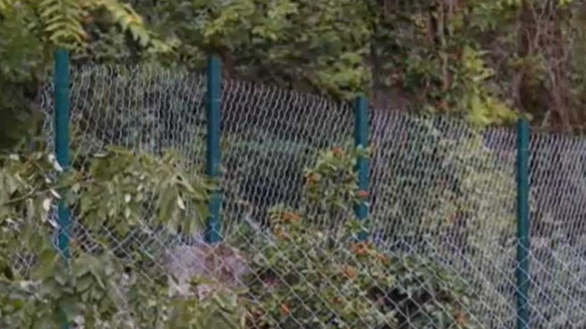 Собственик реши да огради имота си в Морската градина във Варна