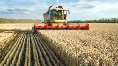 Русия облага износа на пшеница с $38,1 за тон