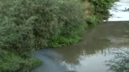 Водите на Русенски Лом се оцветиха