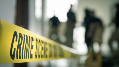 Жена беше арестувана днес във Виена след като се обадила