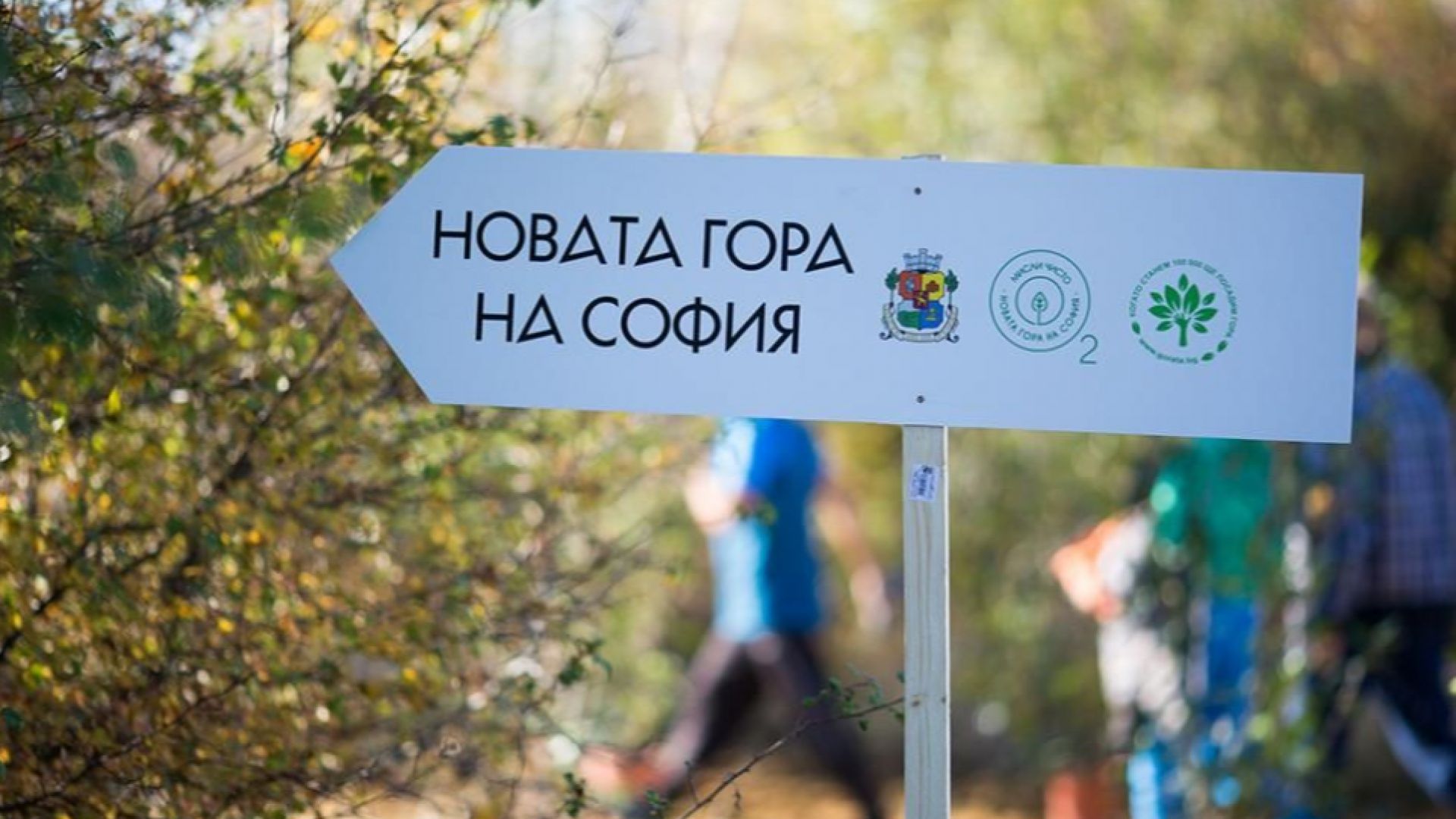 Над 80 000 млади фиданки вече растат в Новата гора на София