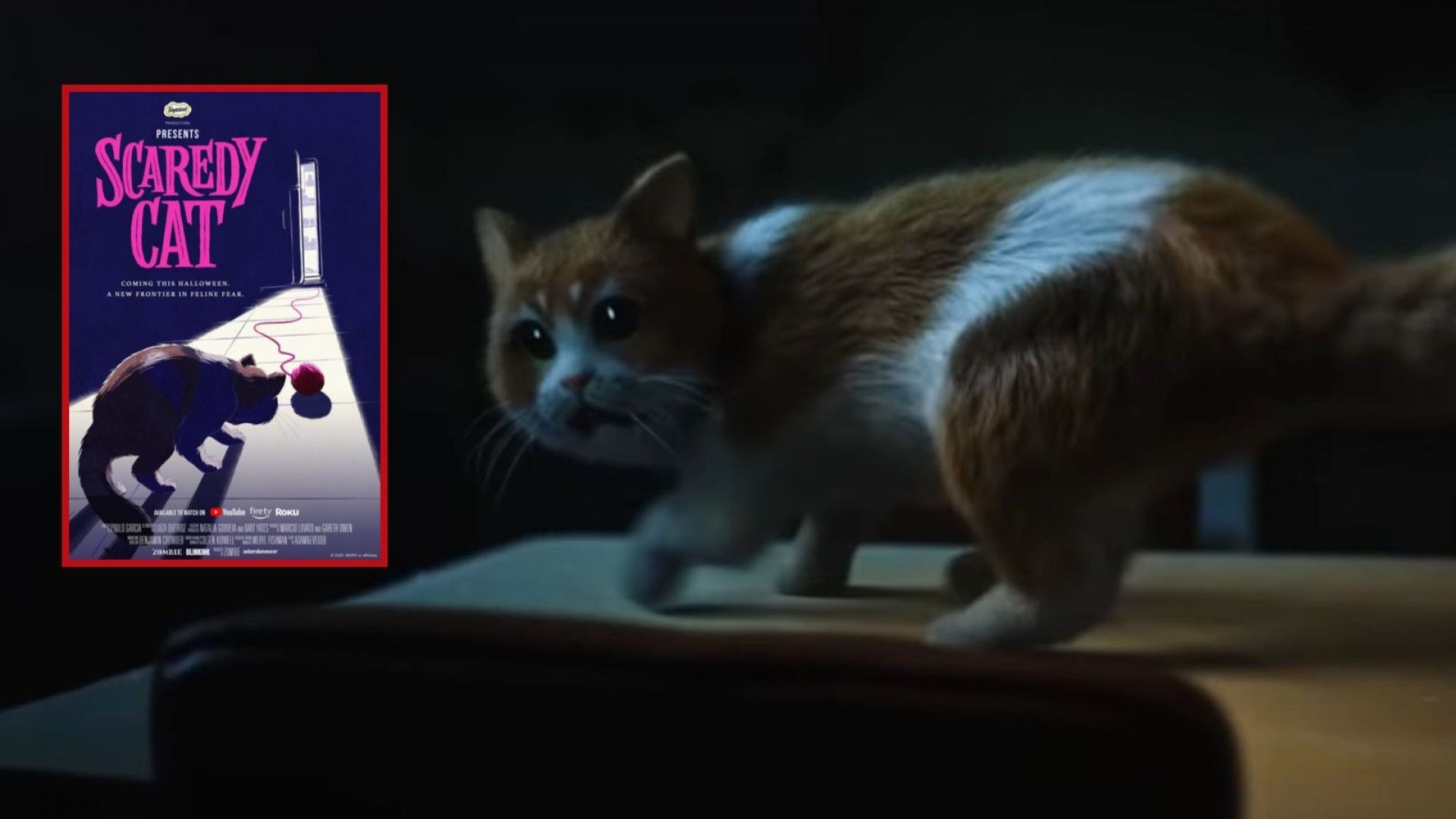 Краставица е злодеят в първия филм на ужасите за котки (видео)