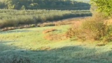 Буйна гора от храсти и дървета e заличила пълноводен язовир