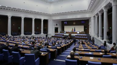  Липса на кворум провали пленарното съвещание. Караянчева: Колеги от Българска социалистическа партия, не надничайте! 